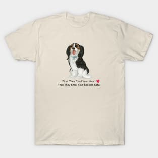 My Tri-Colored Cavalier King Charles Spaniel Stole My Heart, Then My Bed and Sofa. T-Shirt